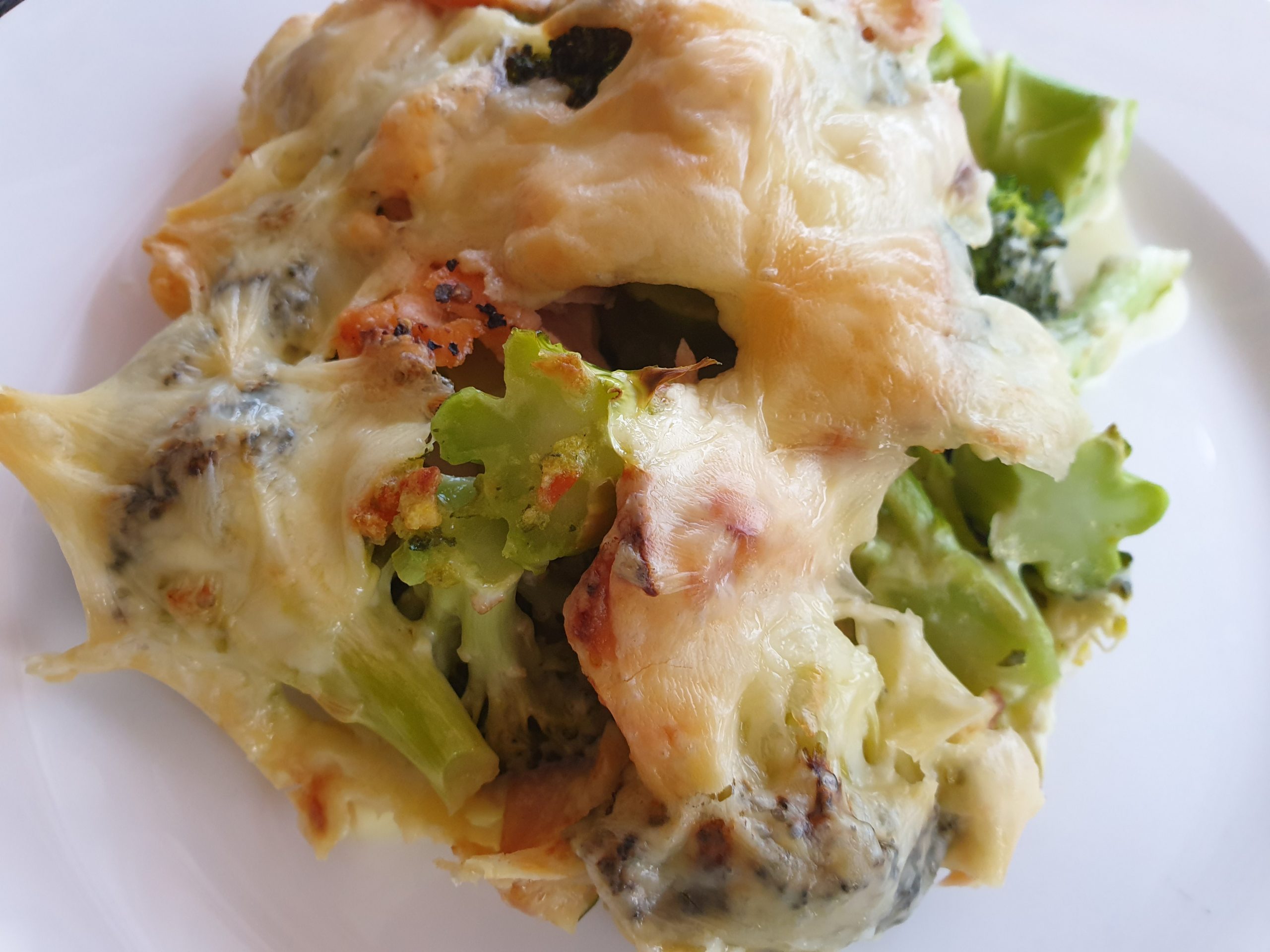 Fisch-Meals – Bild 2